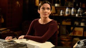 Гримм 6 сезон 10 серия