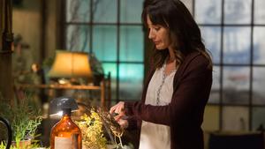 Гримм 3 сезон 10 серия