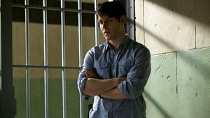 Три монетки в рыжехвосте