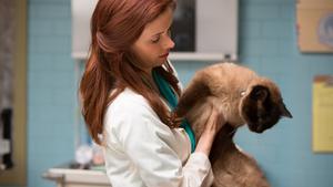 Гримм 1 сезон 22 серия