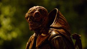 Зуд седьмого года