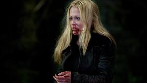 Гримм 1 сезон 17 серия